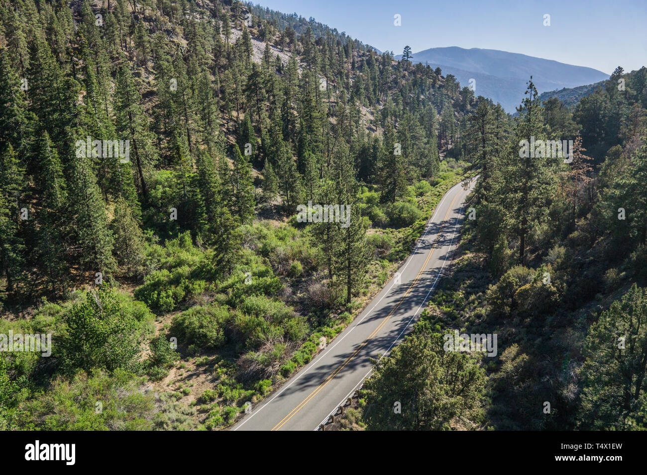 Road roadway forested woods hi-res stock photography and images - Alamy