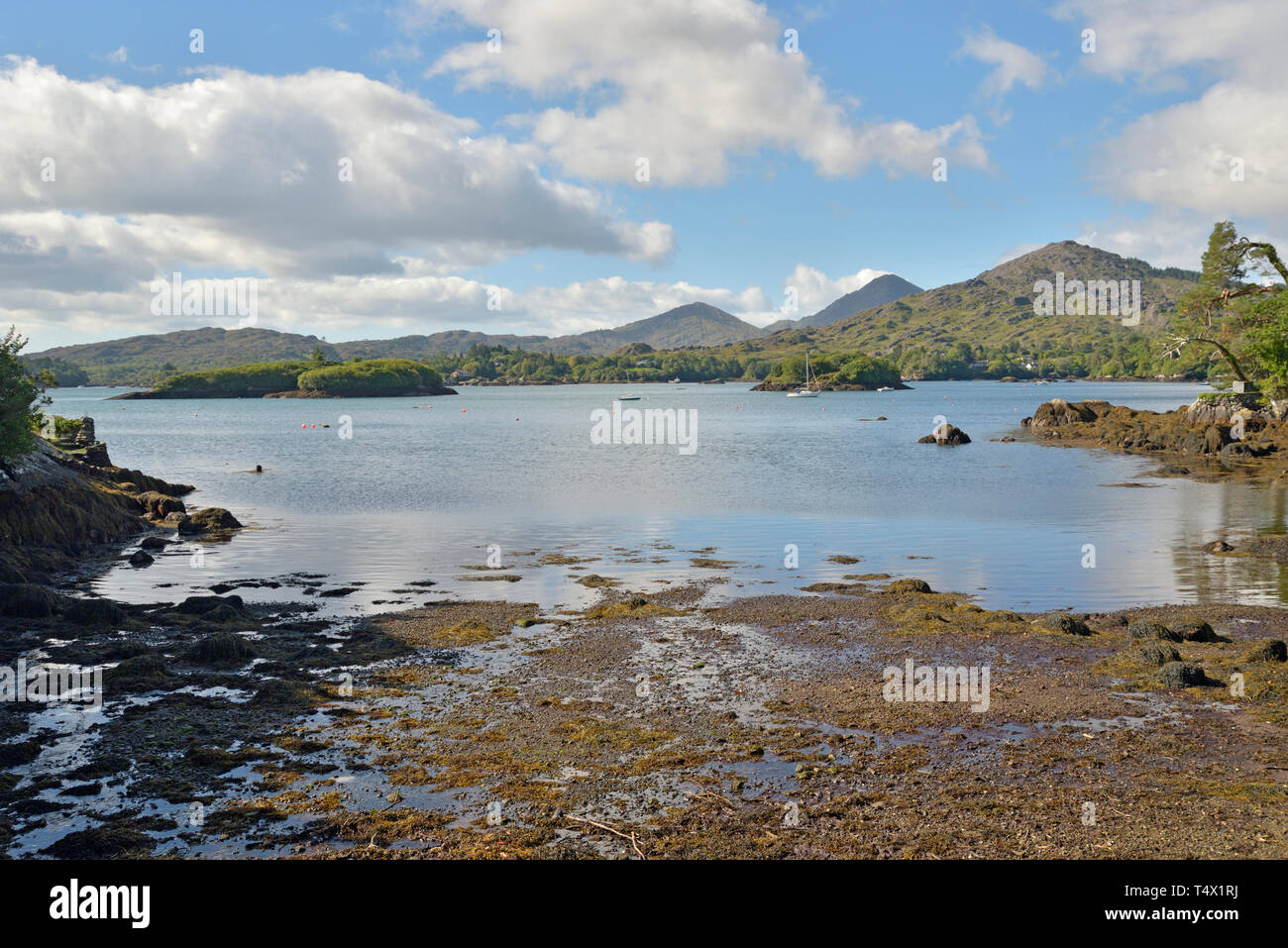 View of Gowlbeg and Sugarloaf with Friar's and Bark Islands and Shrone Hill in the Foreground on the Shore of the Bamboo Park Glengarrif Stock Photo