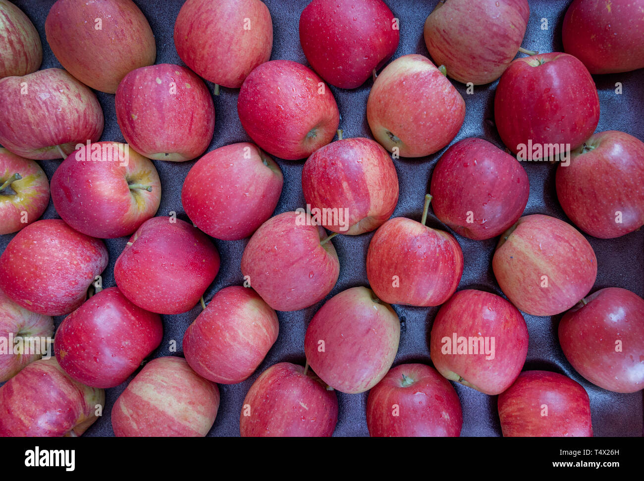 Apple Fruits Stock Photo