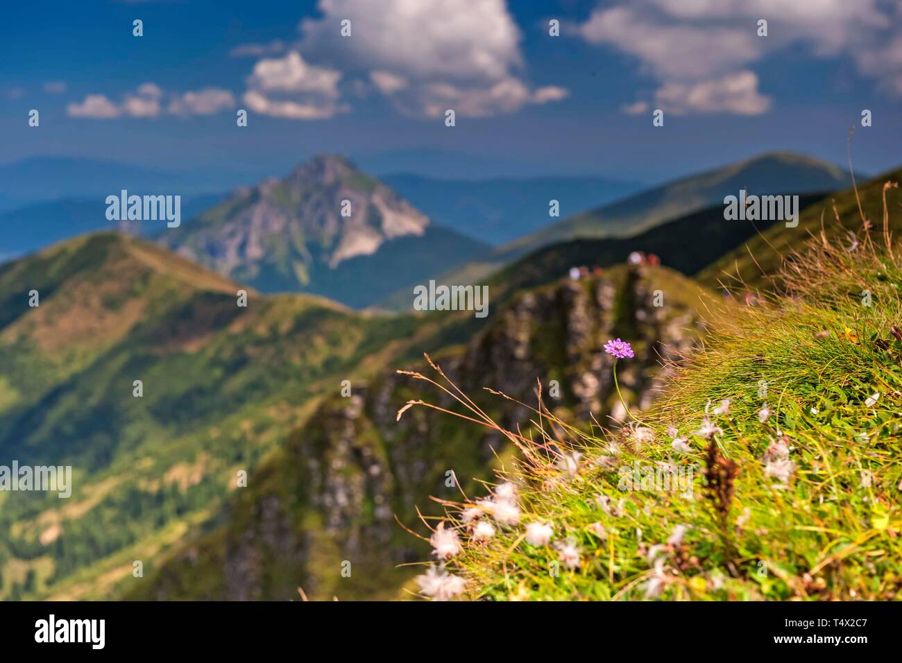 Lesser Fatra (Slovakian: Malá Fatra), Slovakia Stock Photo