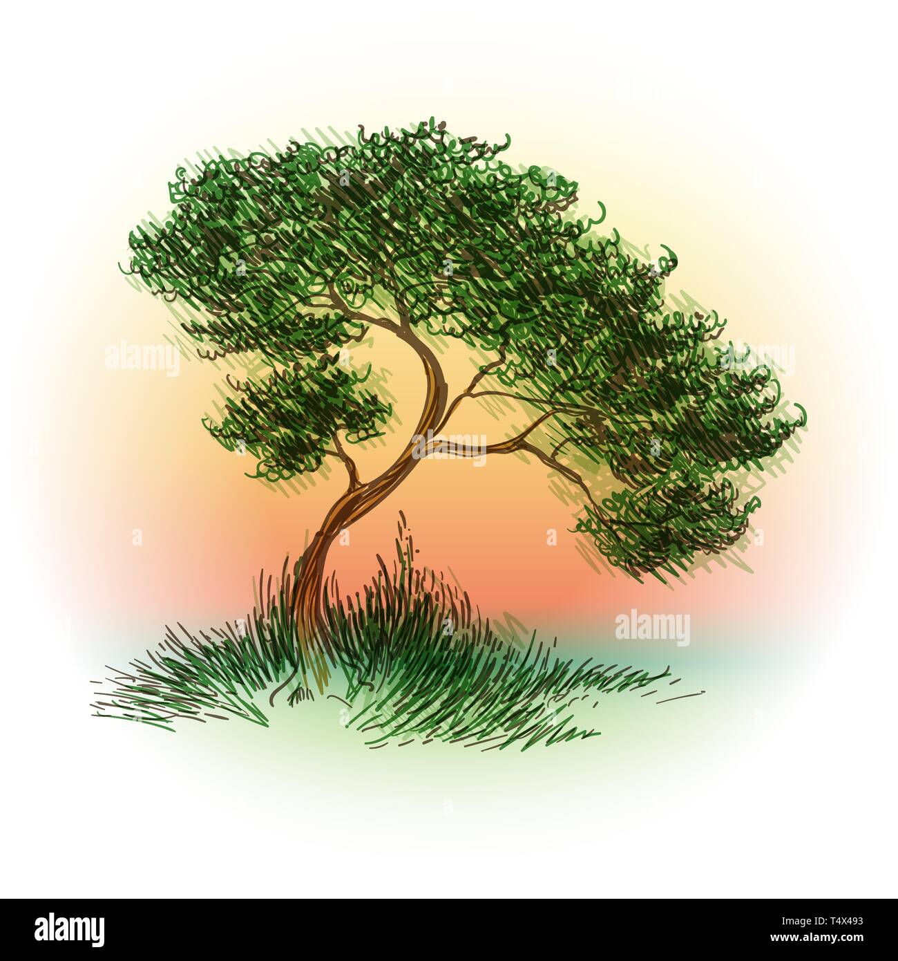 Tree drawn in color pen sketch style. Vector illustration Stock ...