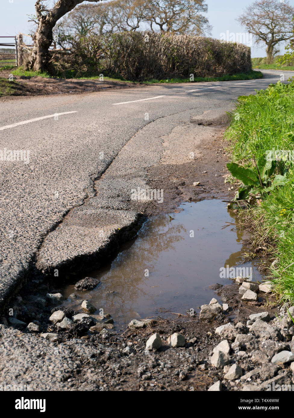 Unrepaired surface damage to tarmac on a rural road Stock Photo Alamy