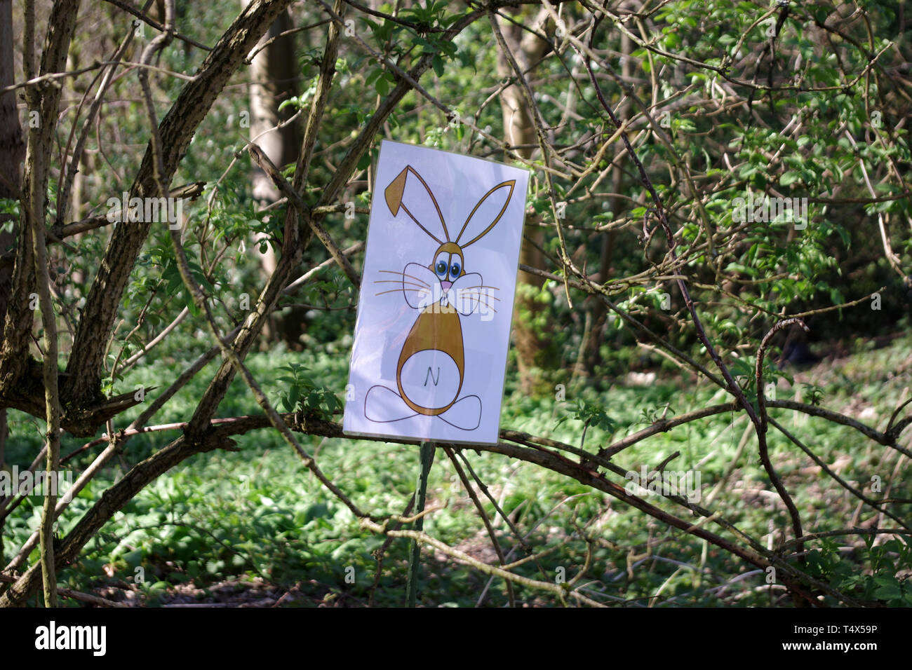 The woodlands of Castlemilk Park run through the heart of Castlemilk