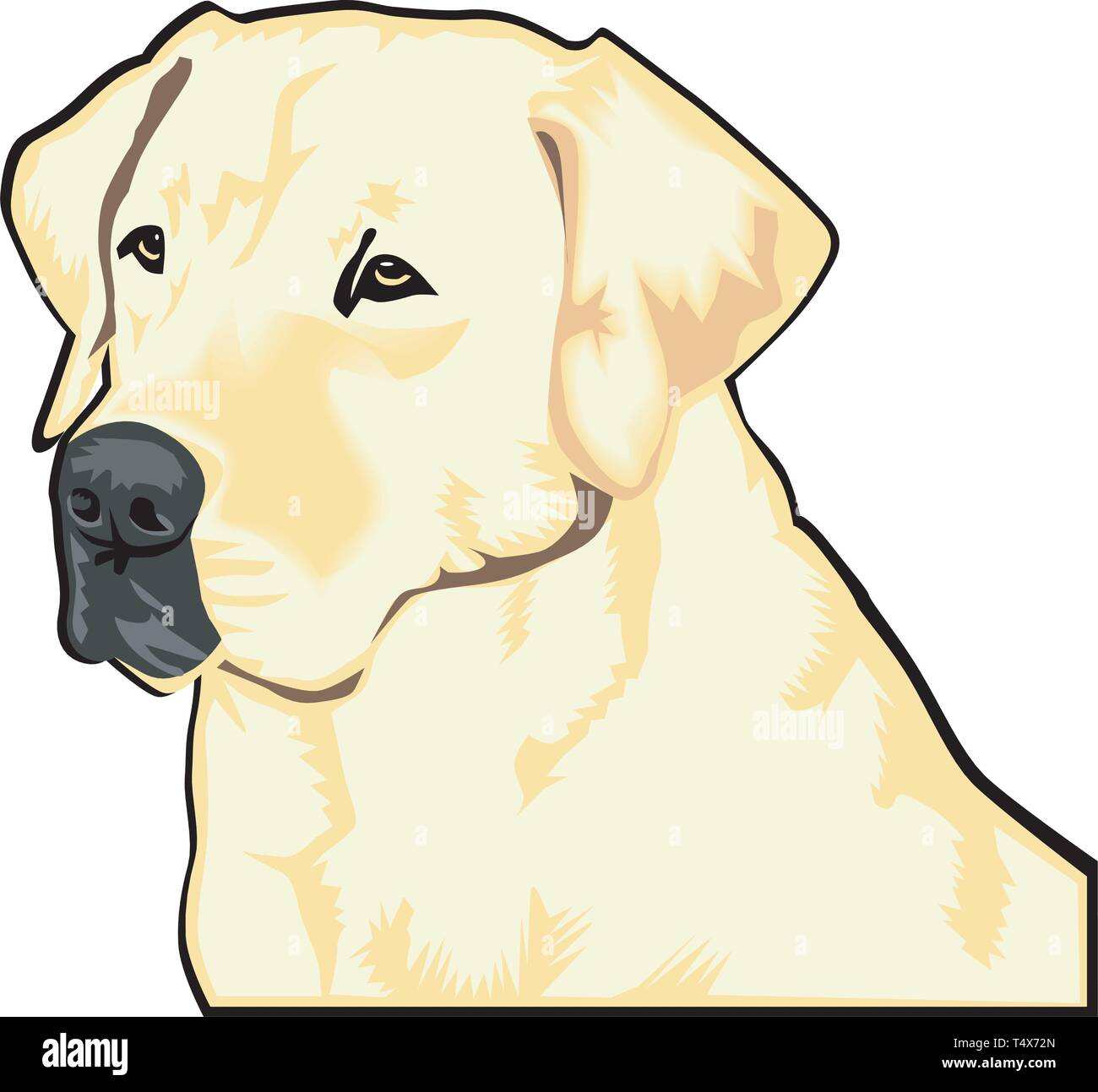 Labrador Retriever Vector Illustration Stock Vector Image & Art Alamy