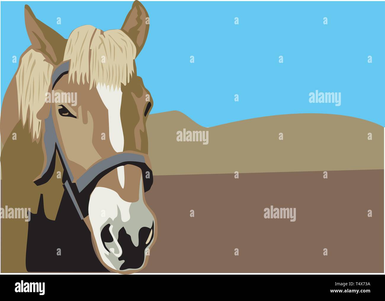 Horse Vector Illustration Stock Vector Image & Art - Alamy