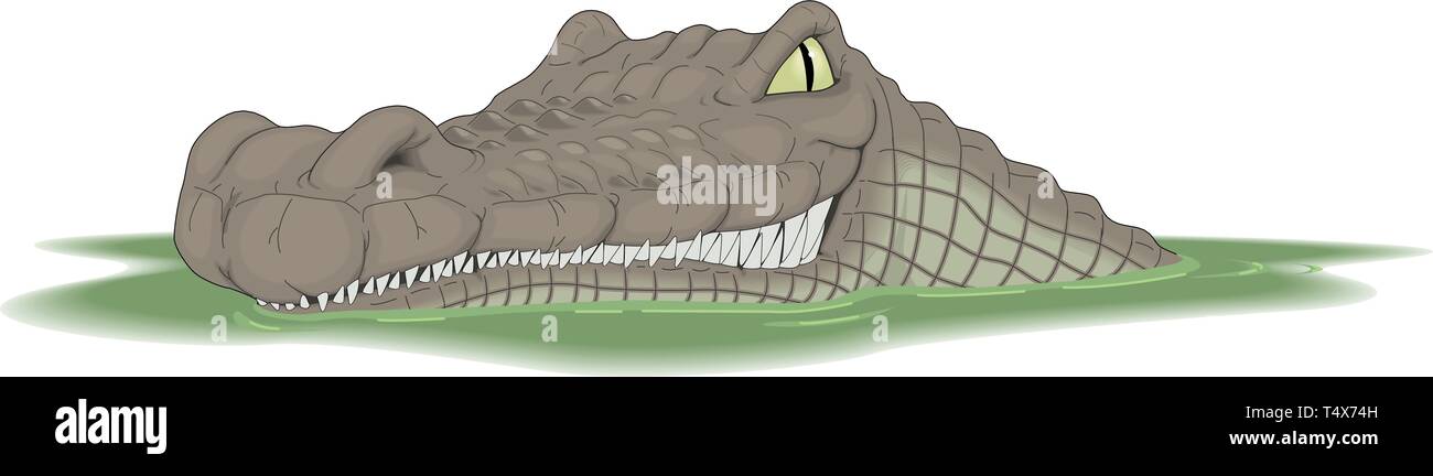 Crocodile Cartoon Vector Illustration Stock Vector