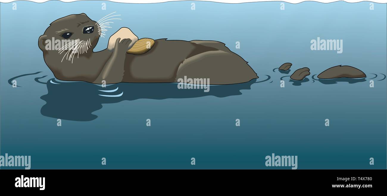 Otter Floating Vector Illustration Stock Vector Image & Art - Alamy