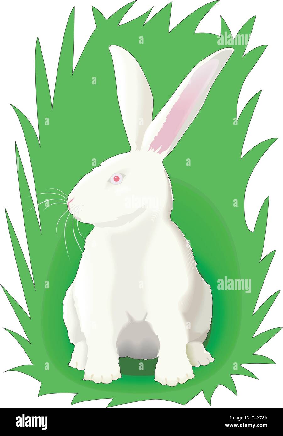 Rabbit in Grass Vector Illustration Stock Vector