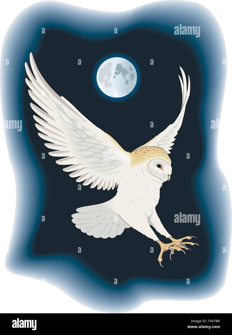 Barn Owl Flying At Night Vector Illustration Stock Vector Art