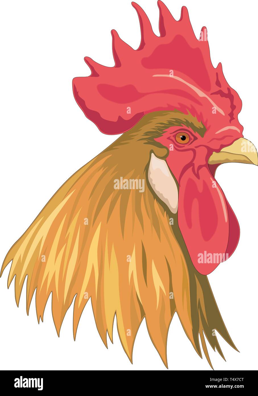 Rooster Head Vector Illustration Stock Vector Image & Art - Alamy