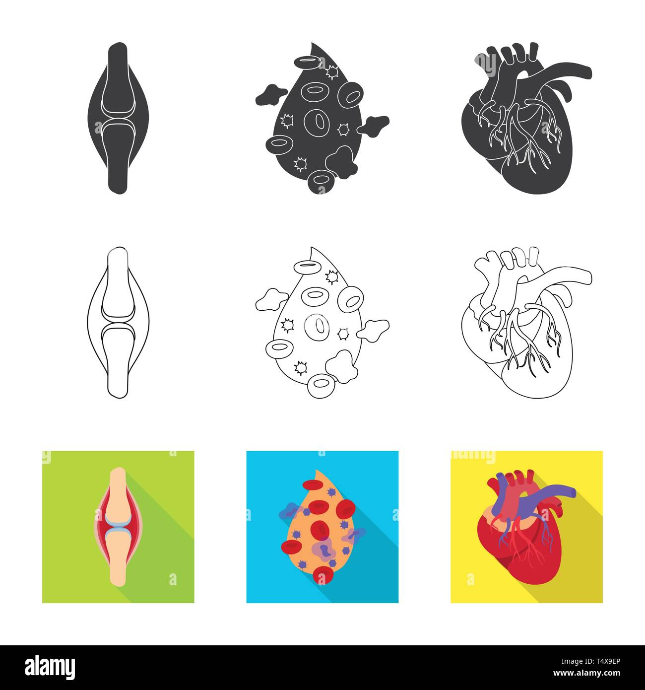 bone,blood,heart,tendon,plasma,cardiology,ligament,cell,cardiovascular ...