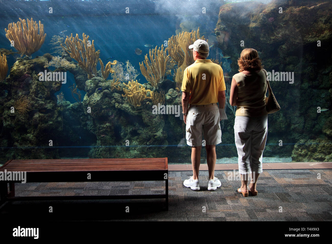 Bermuda, Flatts Village, Bermuda Aquarium, Museum and Zoo Stock Photo
