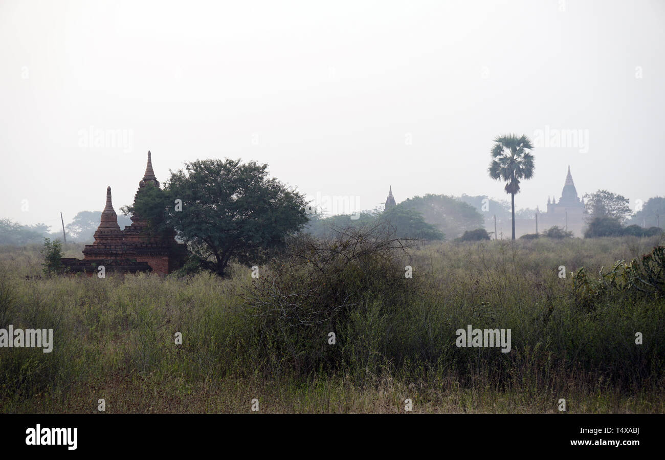 Bagan Archaeological Zone, Myanmar Stock Photo