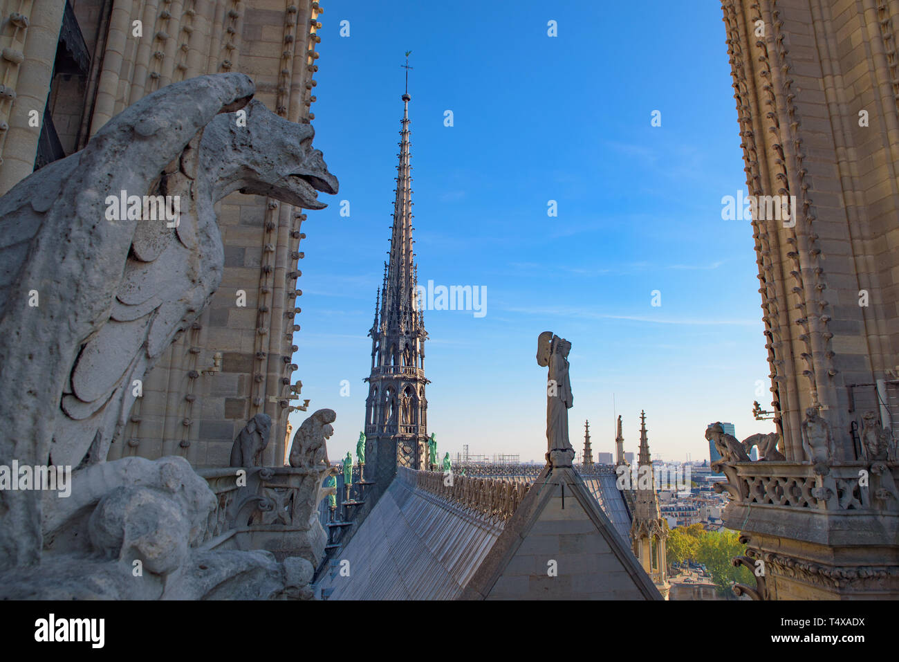View of the Gargoyles and the center tower from the top of Notre Dame Cathedral in Paris, France Stock Photo