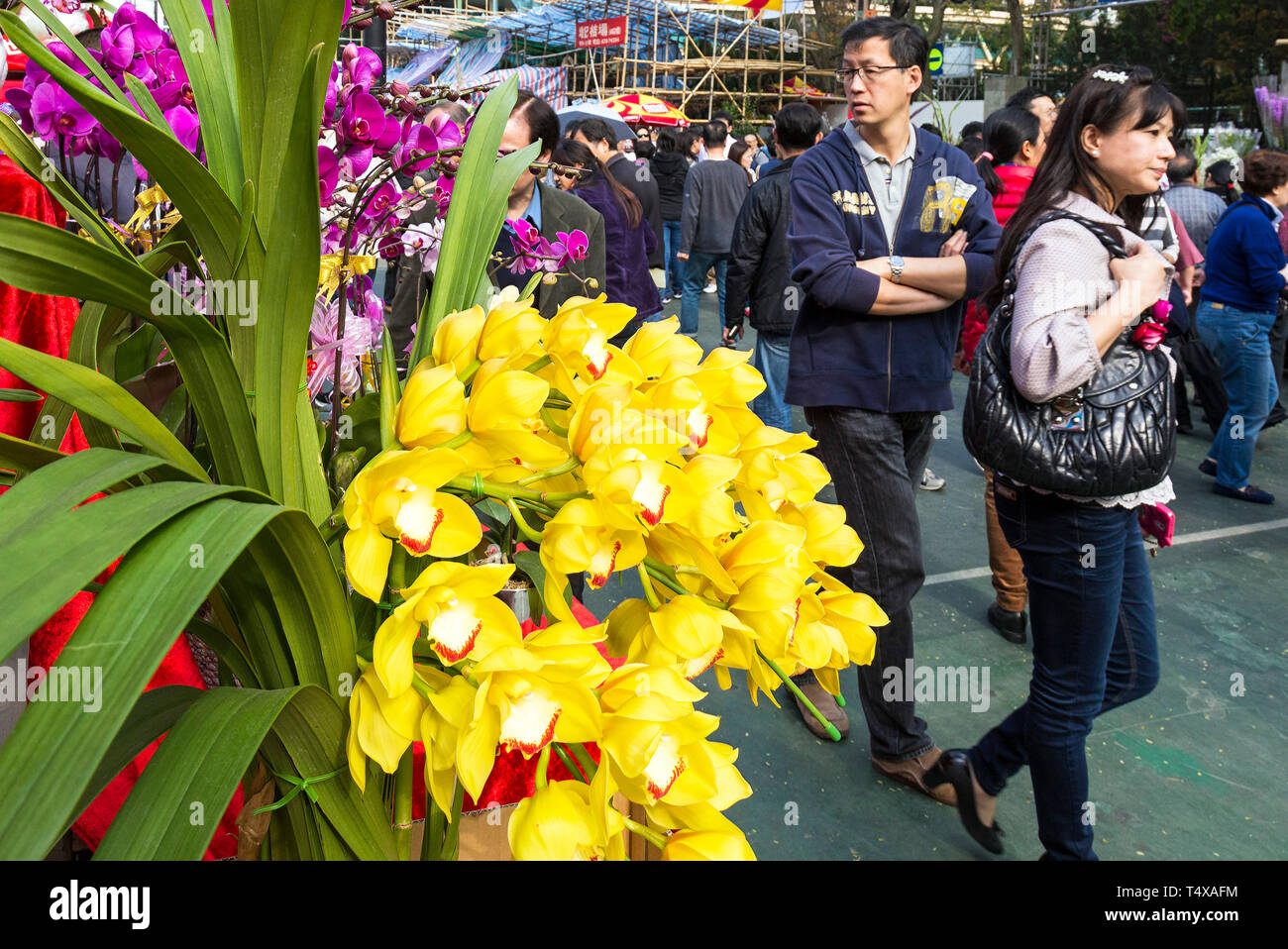 Flower market at Lunar New Year Fair, Victoria Park, Hong Kong, SAR