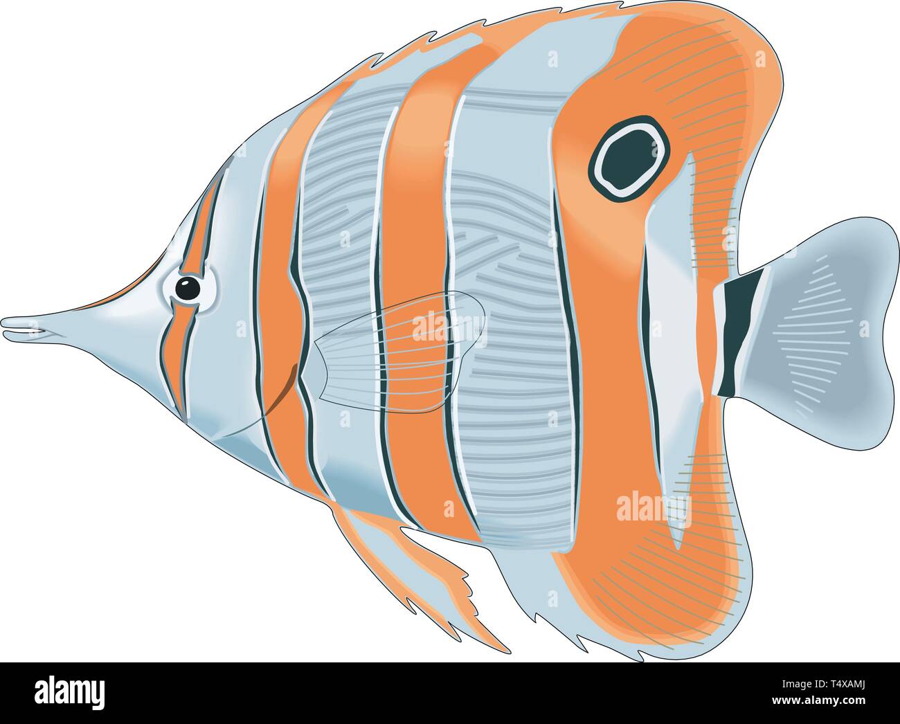 Longnose Butterfly Fish Vector Illustration Stock Vector