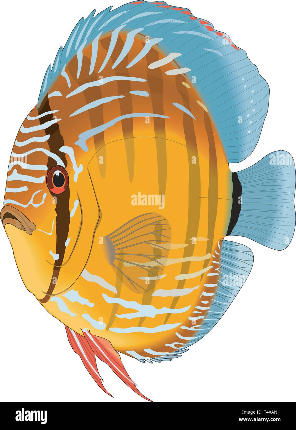 Discus Vector Illustration Stock Vector Image & Art Alamy