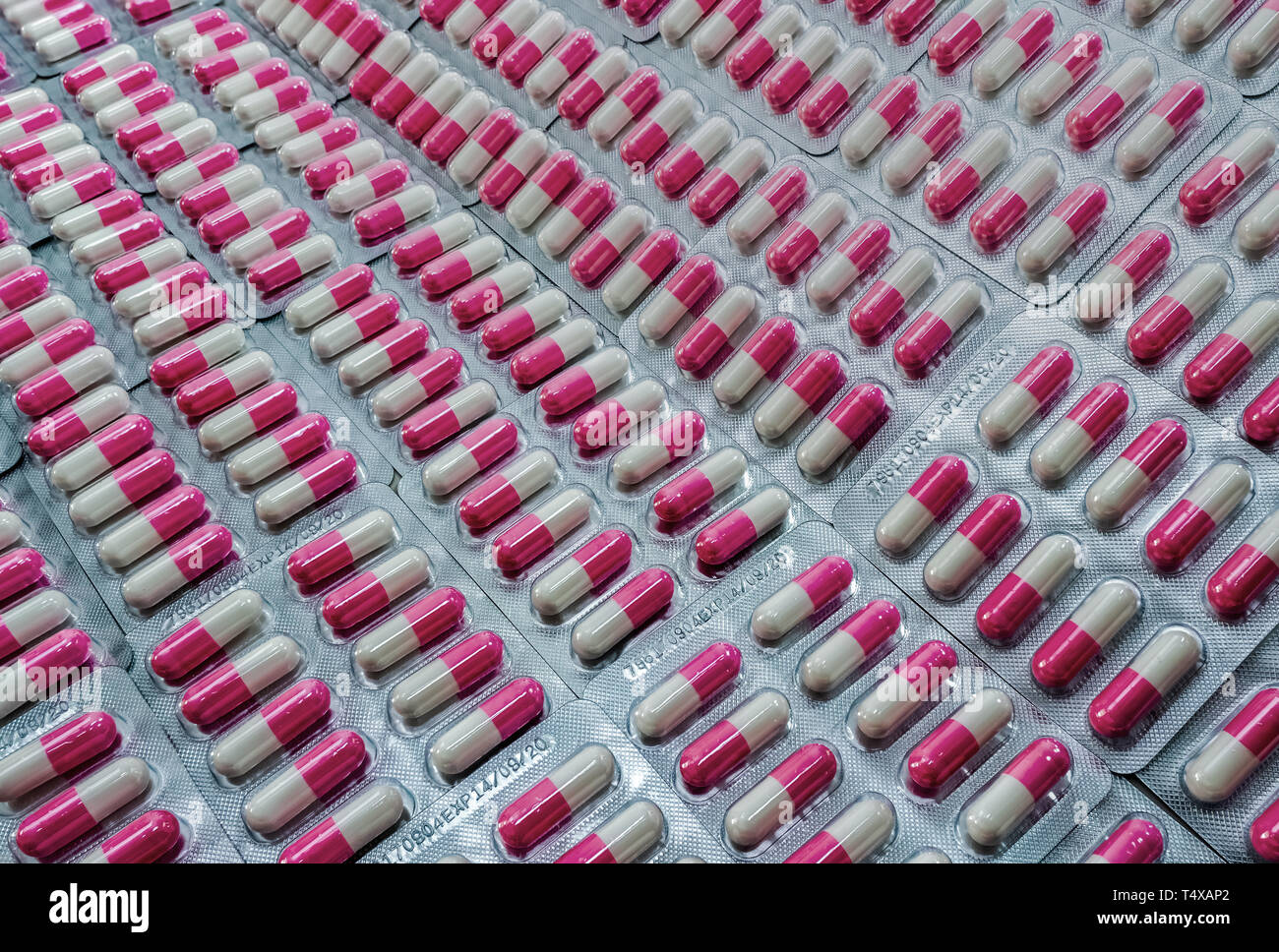 Closeup pink-white antibiotic capsule pills in blister pack. Antibiotic drug resistance. Pharmaceutical industry. Global healthcare. Pharmacy Stock Photo