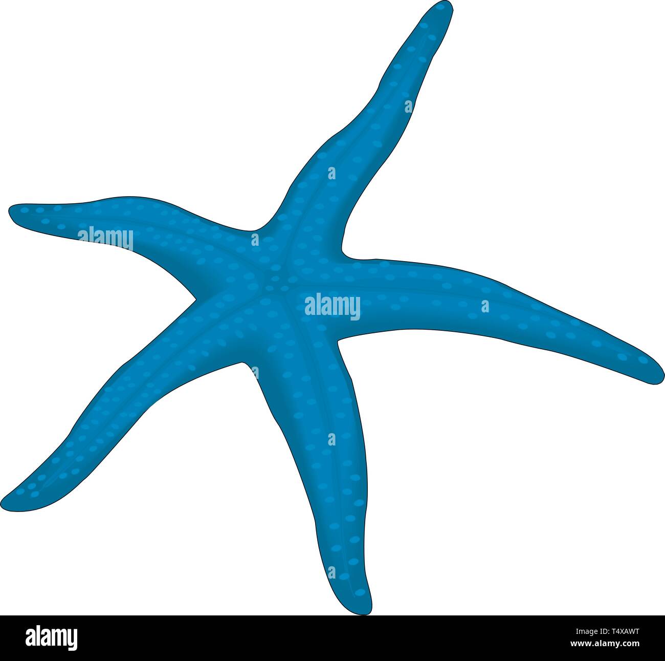 Starfish Vector Illustration Stock Vector Image & Art - Alamy