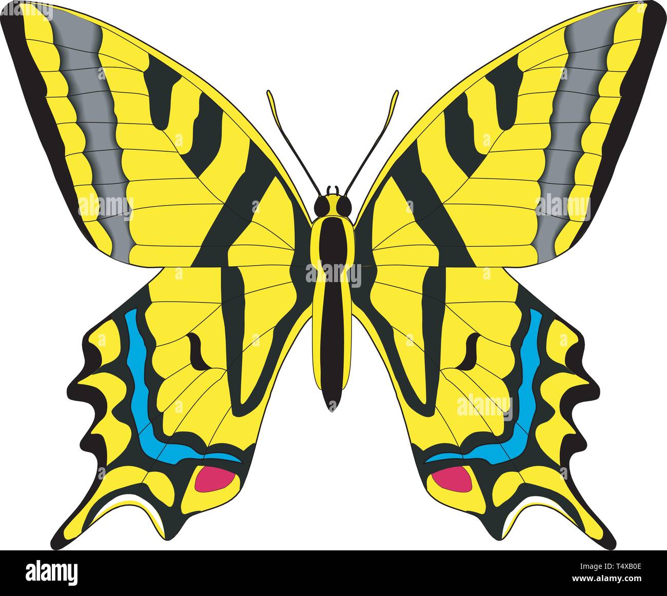 Swallowtail Butterfly Vector Illustration Stock Vector Image & Art - Alamy