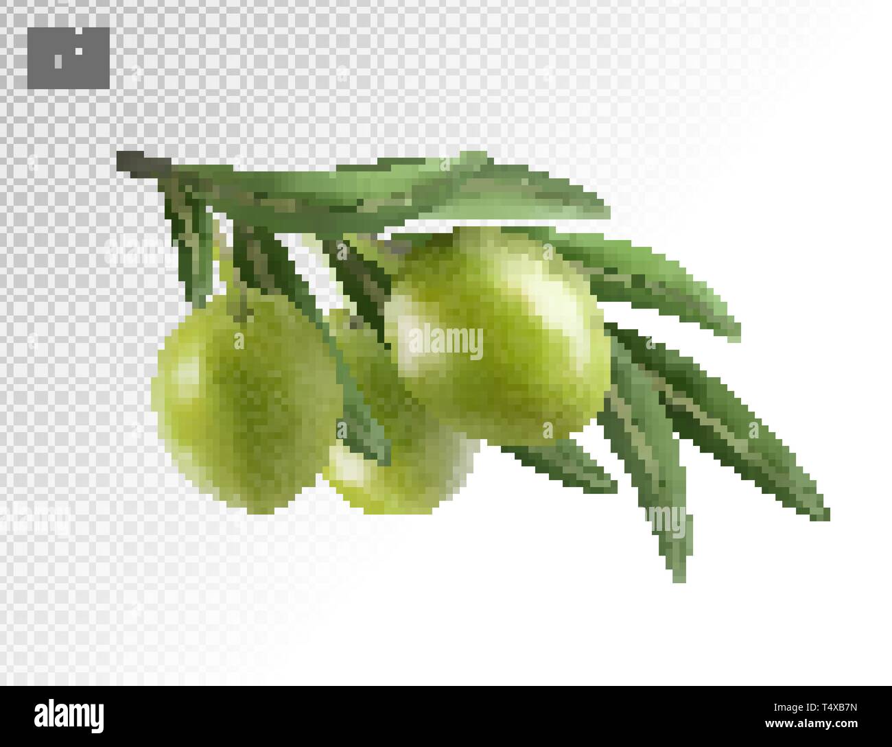 Green olive branch isolated on transparent background as package design ...