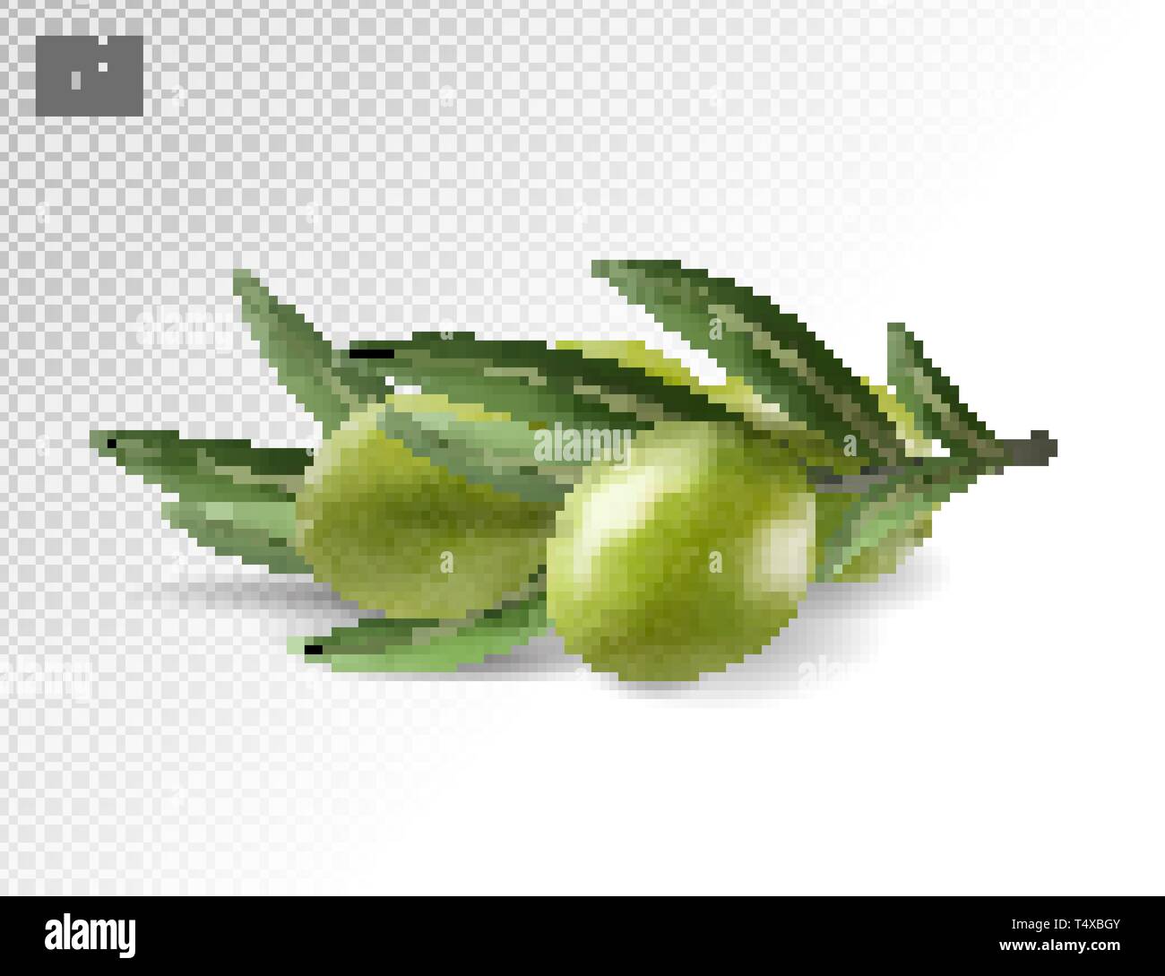 Green olive branch isolated on transparent background as package design ...