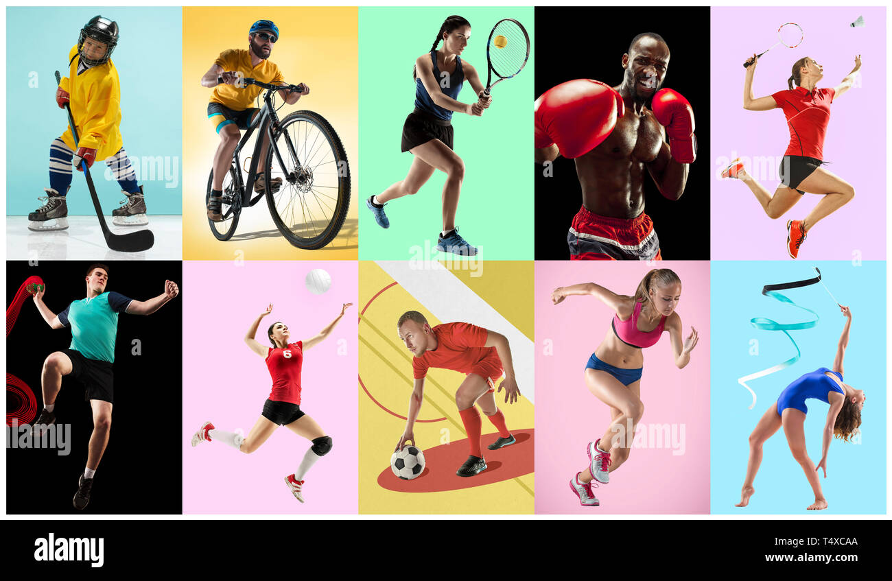 Sport collage about athletes or players. The tennis, running, badminton ...