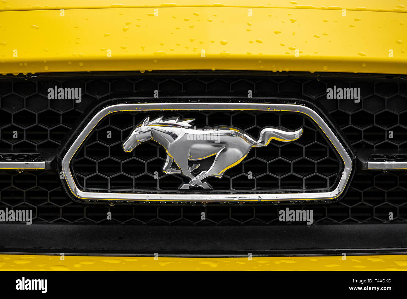 Ford Mustang Pferd Logo auf dem Kühlergrill des klassischen amerikanischen  Auto Stockfotografie - Alamy