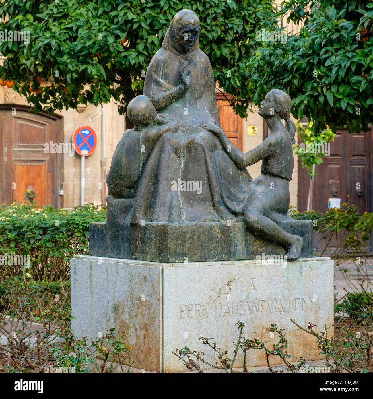 Palma de bronce hi-res stock photography and images - Alamy