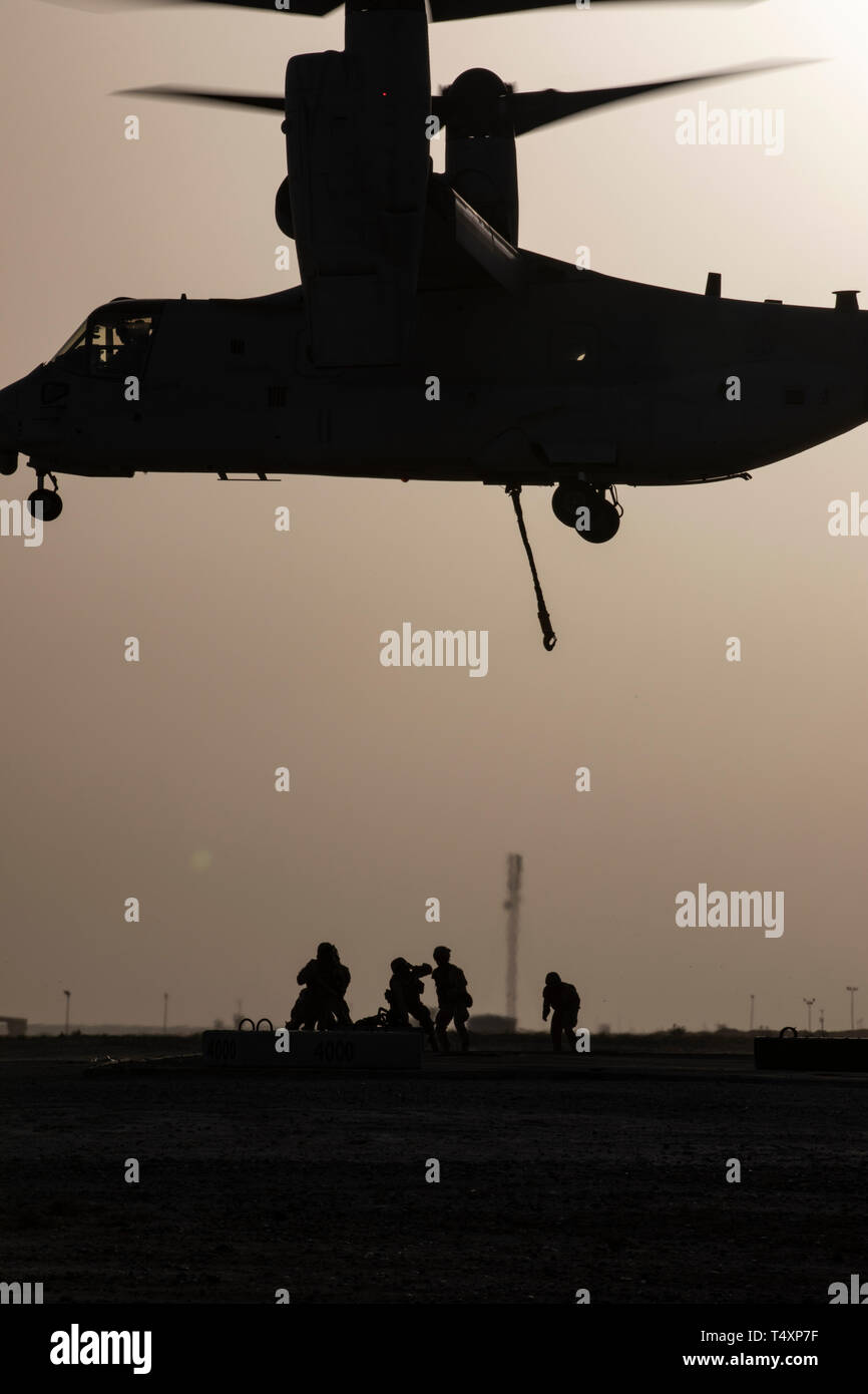 CAMP BEUHRING, Kuwait (April 11, 2019) A U.S. Marine MV-22 Osprey descends before landing support specialists with the 22nd Marine Expeditionary Unit attach a 1,500 pound beam as part of helicopter support team training during Marine Expeditionary Unit Exercise. The Marines, with Marine Medium Tiltrotor Squadron 264 (Reinforced) and Combat Logistics Battalion 22, participated the training to build and sharpen their skills in order to maintain combat readiness. Marines and Sailors with the 22nd MEU and Kearsarge Amphibious Ready Group are currently deployed to the U.S. 5th Fleet area of operati Stock Photo