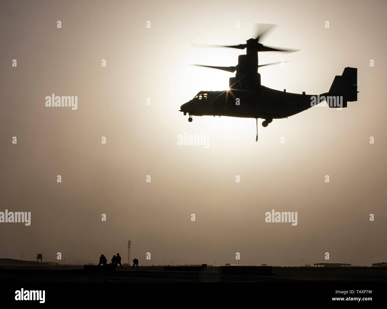 CAMP BEUHRING, Kuwait (April 11, 2019) A U.S. Marine MV-22 Osprey makes its approach while landing support specialists with the 22nd Marine Expeditionary Unit prepare to attach a 1,500 pound beam as part of helicopter support team training during Marine Expeditionary Unit Exercise. The Marines, with Marine Medium Tiltrotor Squadron 264 (Reinforced) and Combat Logistics Battalion 22, participated the training to build and sharpen their skills in order to maintain combat readiness. Marines and Sailors with the 22nd MEU and Kearsarge Amphibious Ready Group are currently deployed to the U.S. 5th F Stock Photo