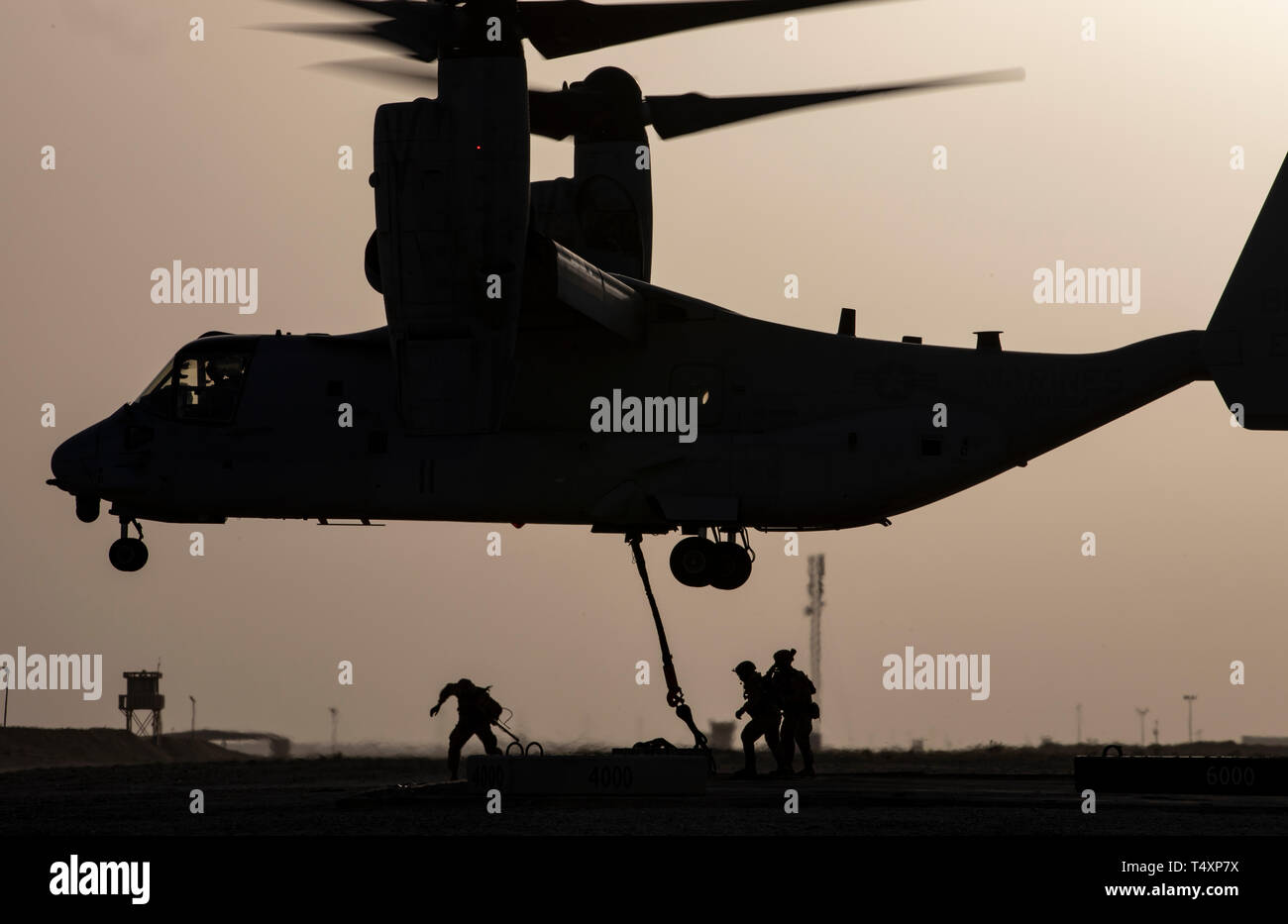CAMP BEUHRING, Kuwait (April 11, 2019) A U.S. Marine MV-22 Osprey hovers while landing support specialists with the 22nd Marine Expeditionary Unit hook a 1,500 pound beam as part of helicopter support team training during Marine Expeditionary Unit Exercise. The Marines, with Marine Medium Tiltrotor Squadron 264 (Reinforced) and Combat Logistics Battalion 22, participated the training to build and sharpen their skills in order to maintain combat readiness. Marines and Sailors with the 22nd MEU and Kearsarge Amphibious Ready Group are currently deployed to the U.S. 5th Fleet area of operations i Stock Photo
