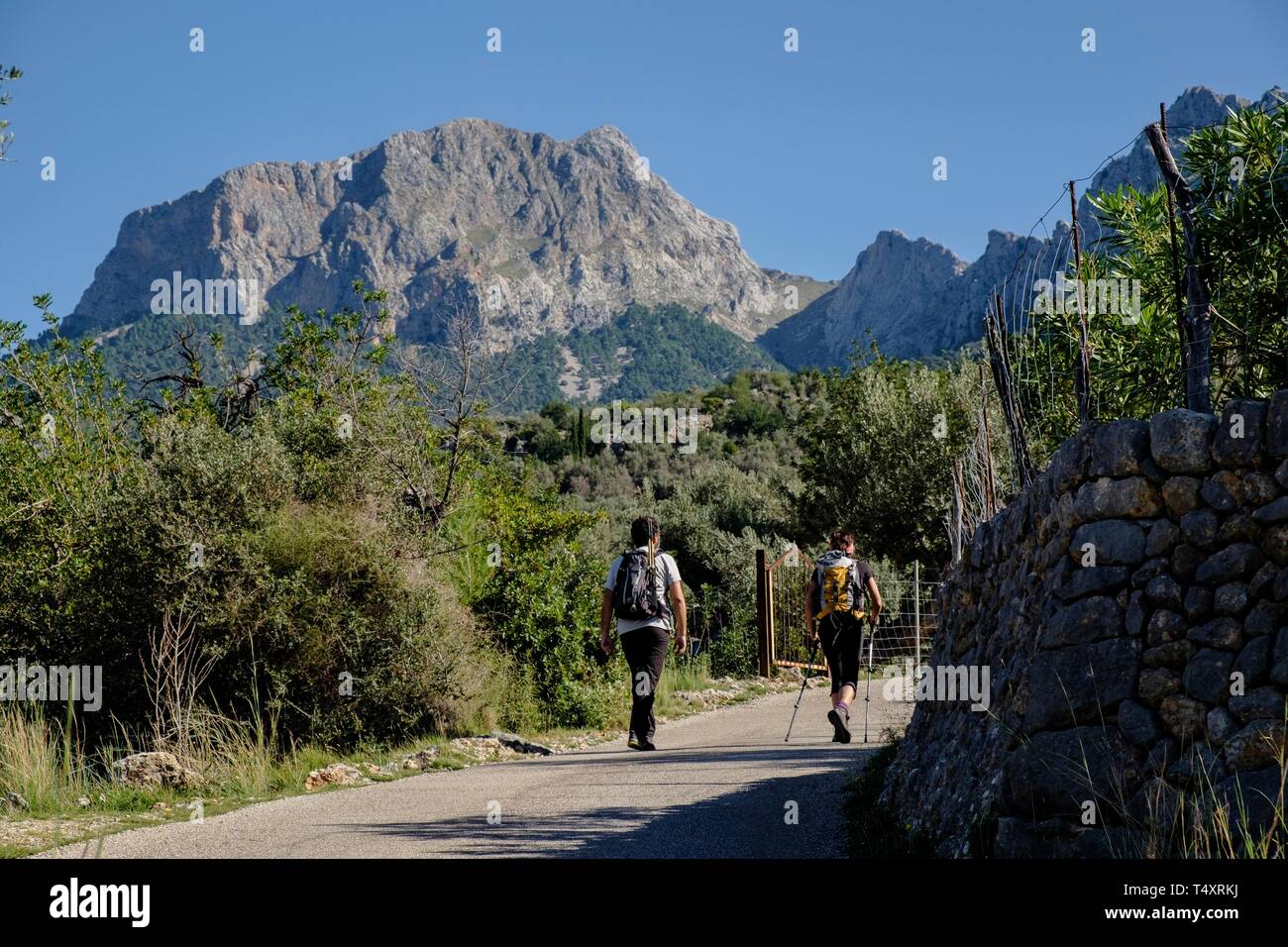 escursionistas frente al Penyal des Migdia, 1401 metros, municipio de fornalutx, Mallorca, balearic islands, Spain. Stock Photo