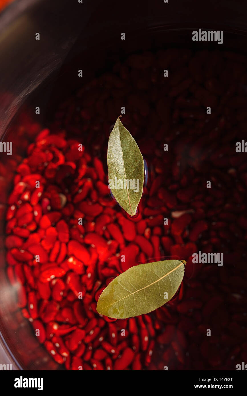 Floating kidney hires stock photography and images Alamy