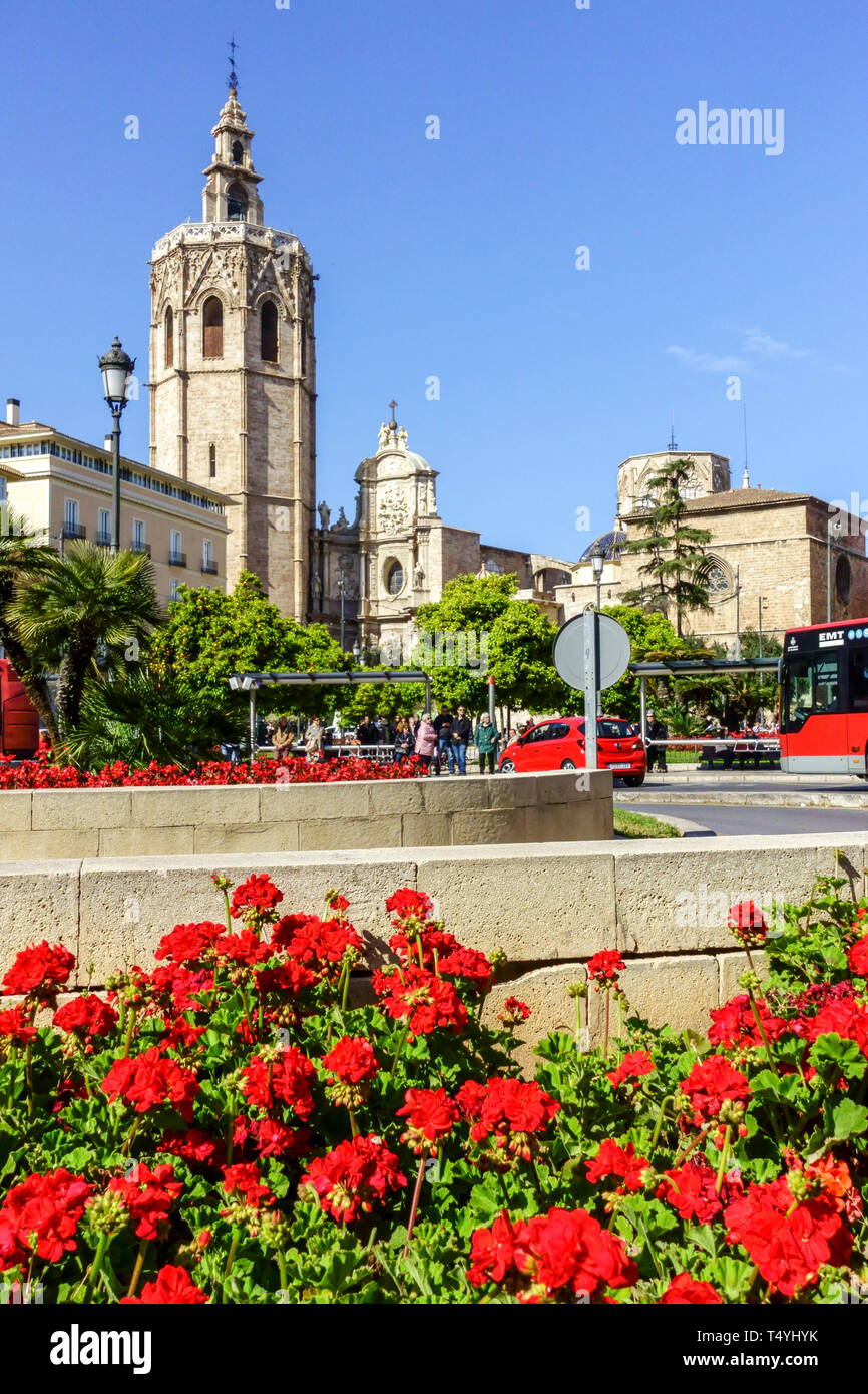 Spring Flowers on Valencia Plaza de la Reina Square in Old Town Valencia Spain Cathedral Tower Stock Photo