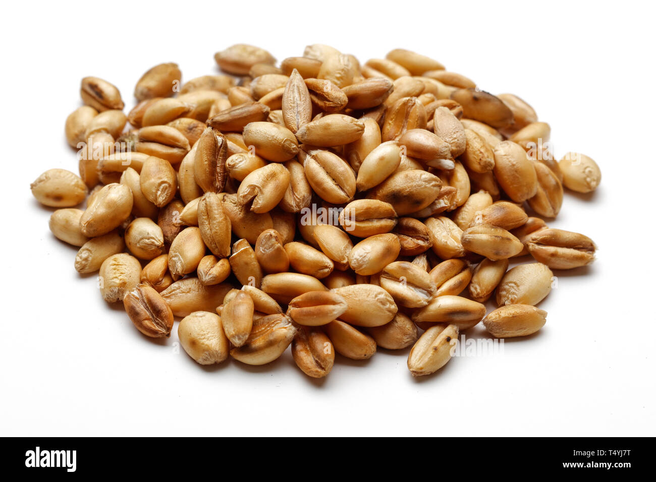 Heap of dry wheat grains isolated on white background Stock Photo - Alamy