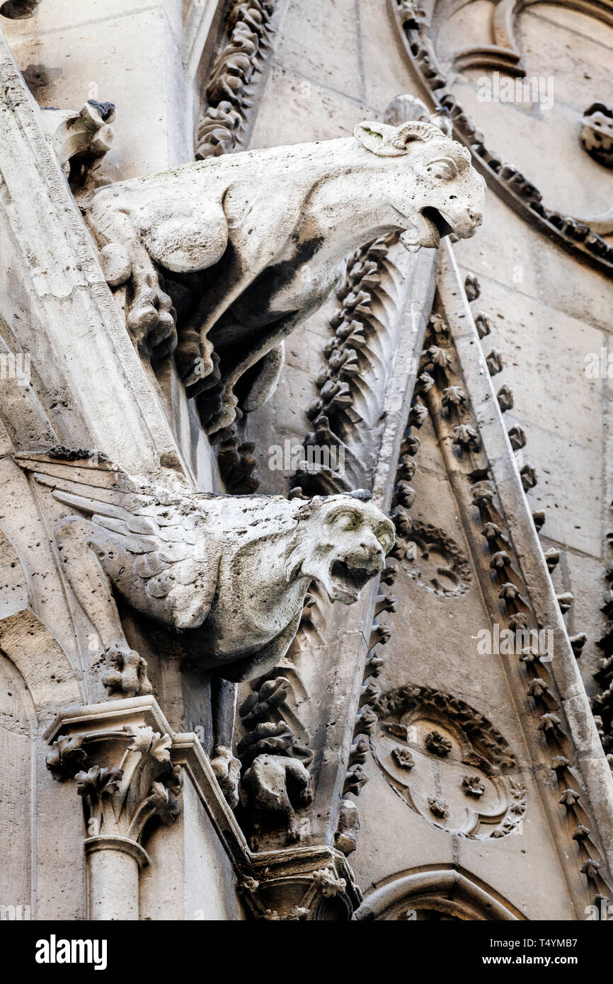 Gargoyles of Notre Dame cathedral in Paris Stock Photo