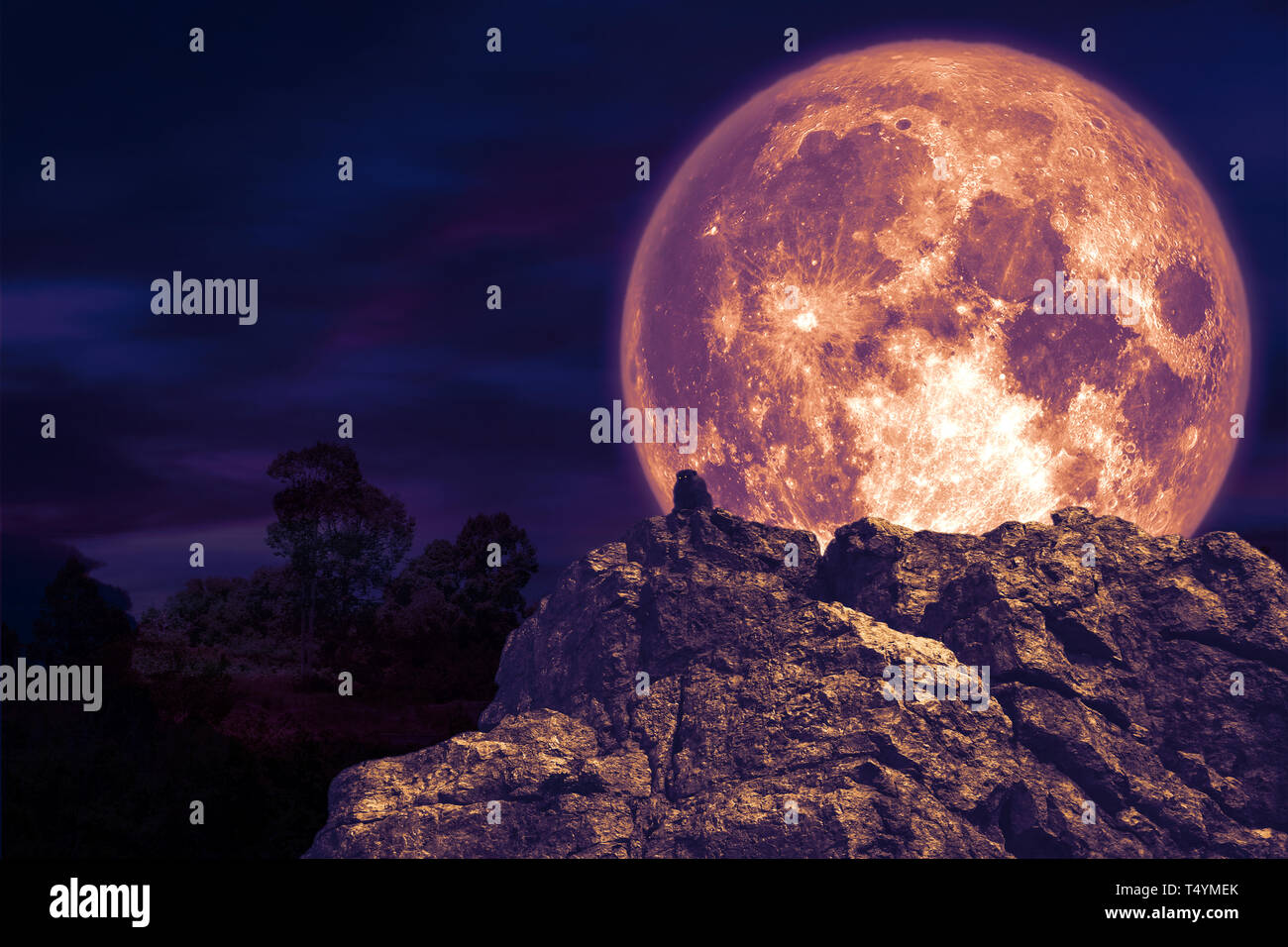 Purple Moon Nasa