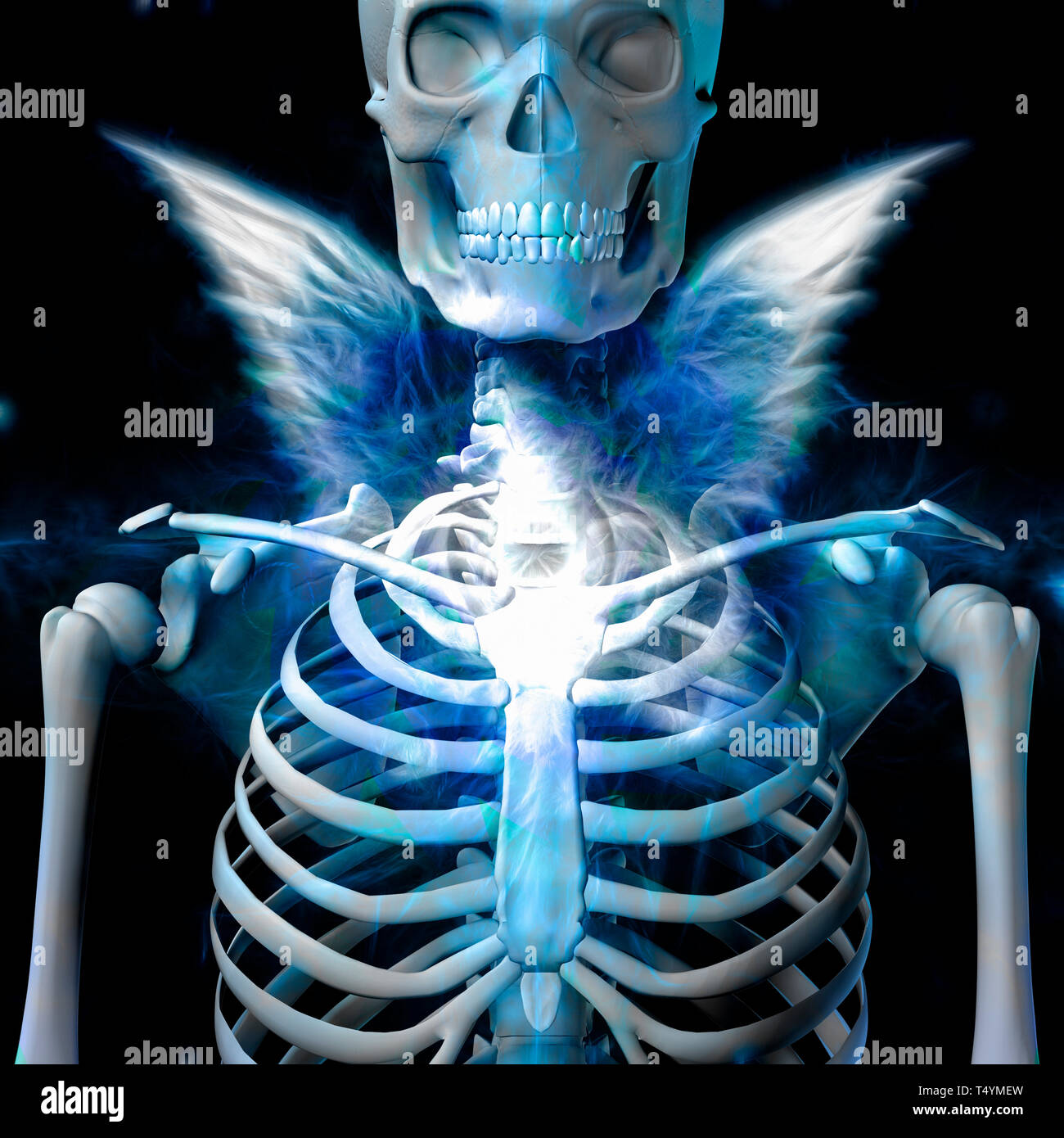 Shining skeleton with wings Stock Photo