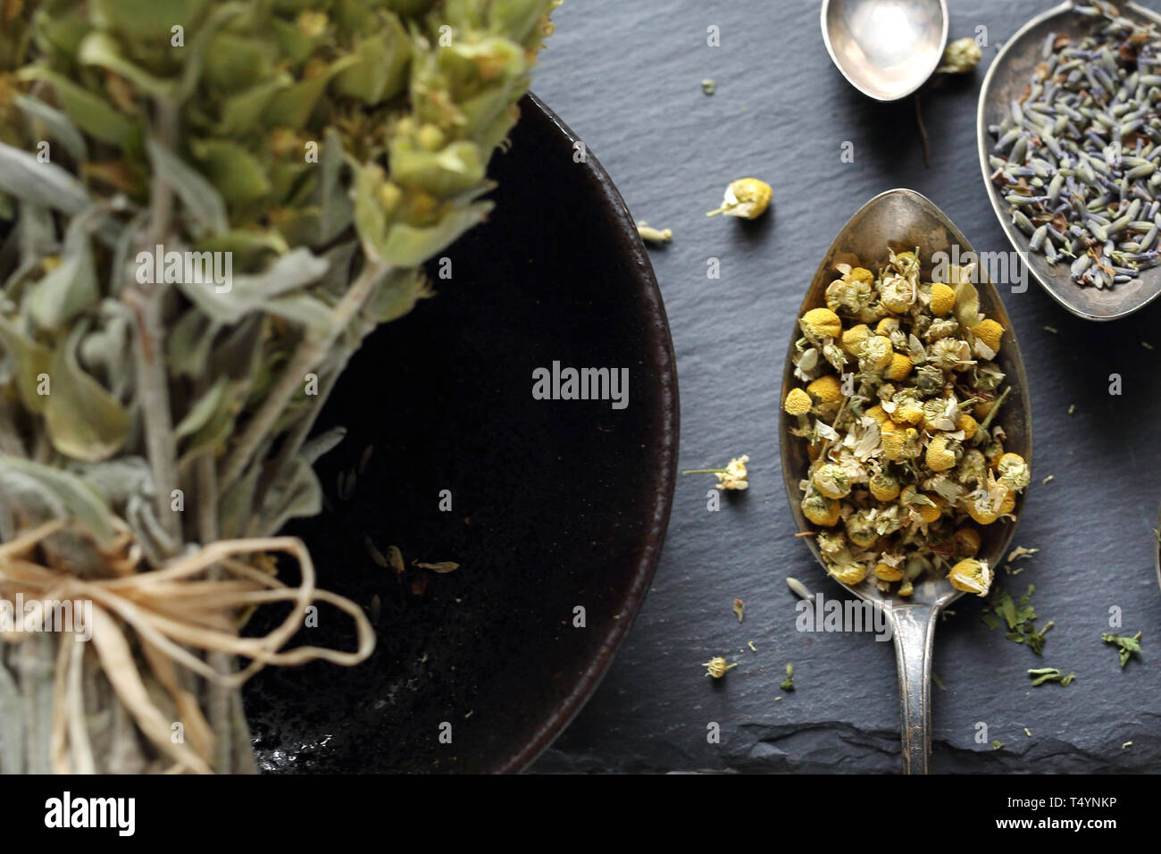 Herbal medicine Chamomile, lavender, horsetail, nettle, herbs in traditional medicine, home