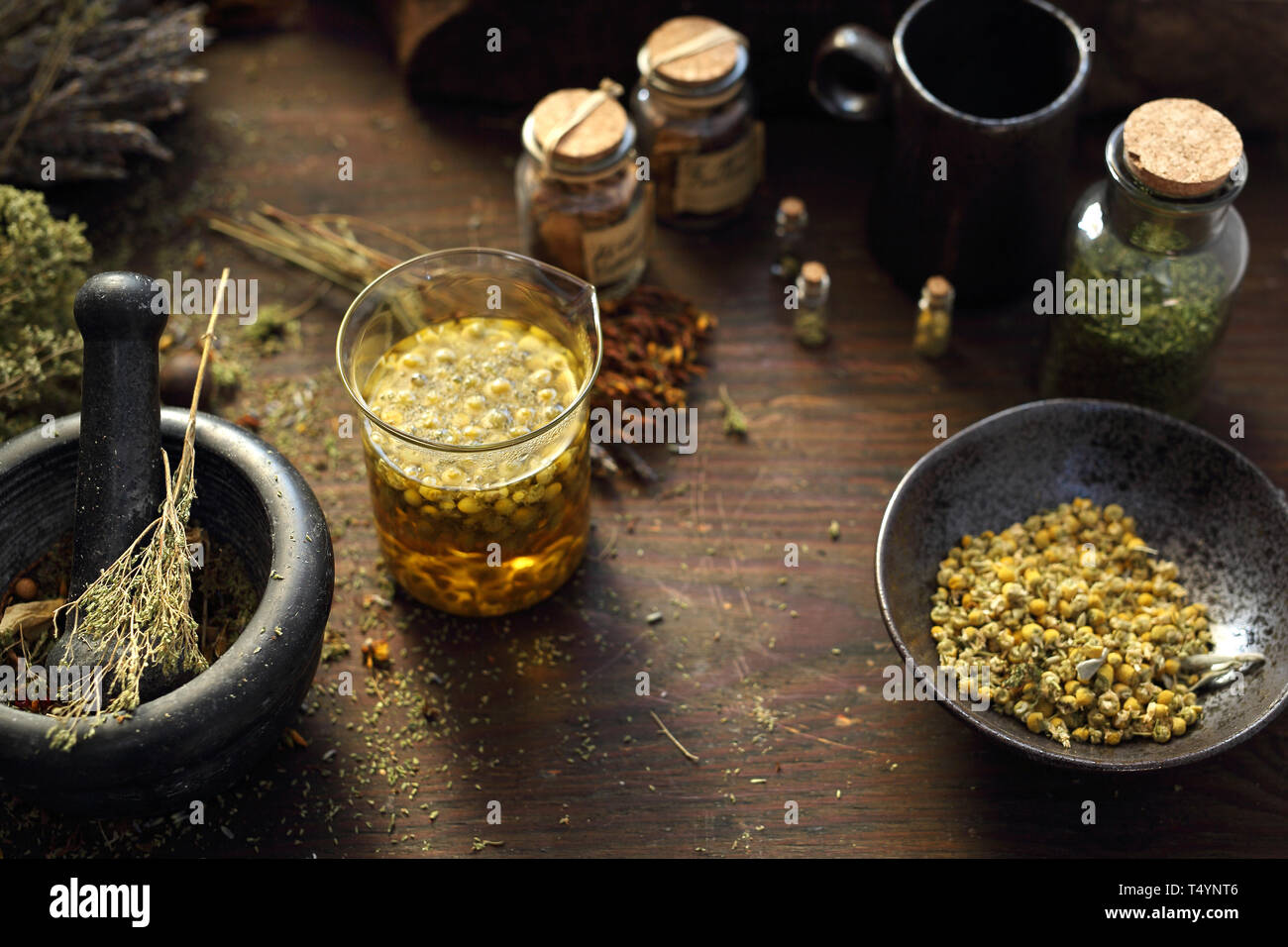 Herbal medicine Chamomile, lavender, horsetail, nettle, herbs in traditional medicine, home