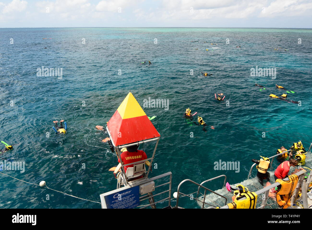 Snorkeling in the Great Barrier Reef. Port Douglas. Queensland. Australia Stock Photo Alamy