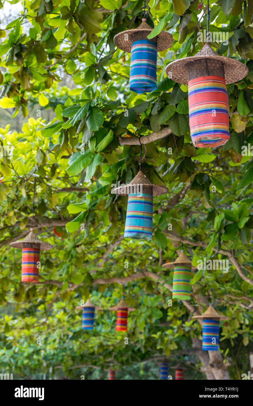 Paper lantern hanging on trees hi-res stock photography and images - Alamy