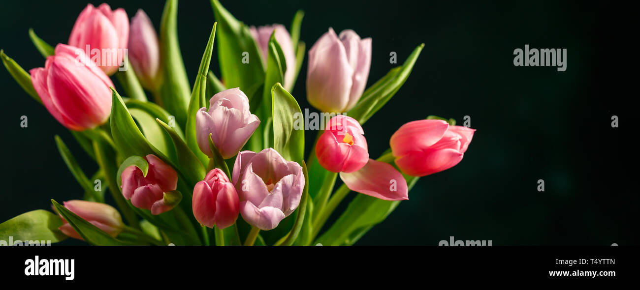 Bouquet of pink and lilac tulips in a glass vase on dark green ...