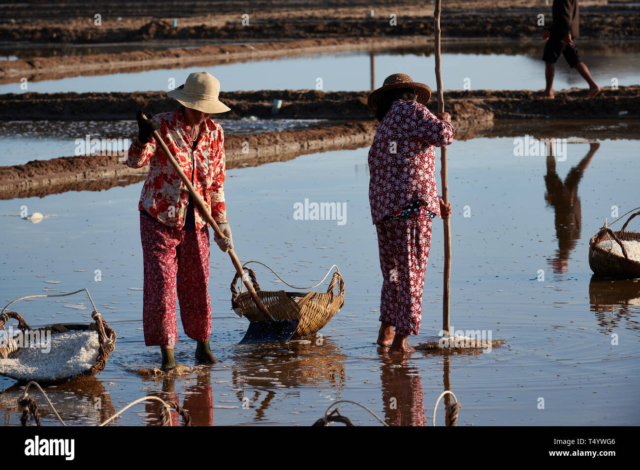 Traditional Cambodian Salt Farming Stock Photo