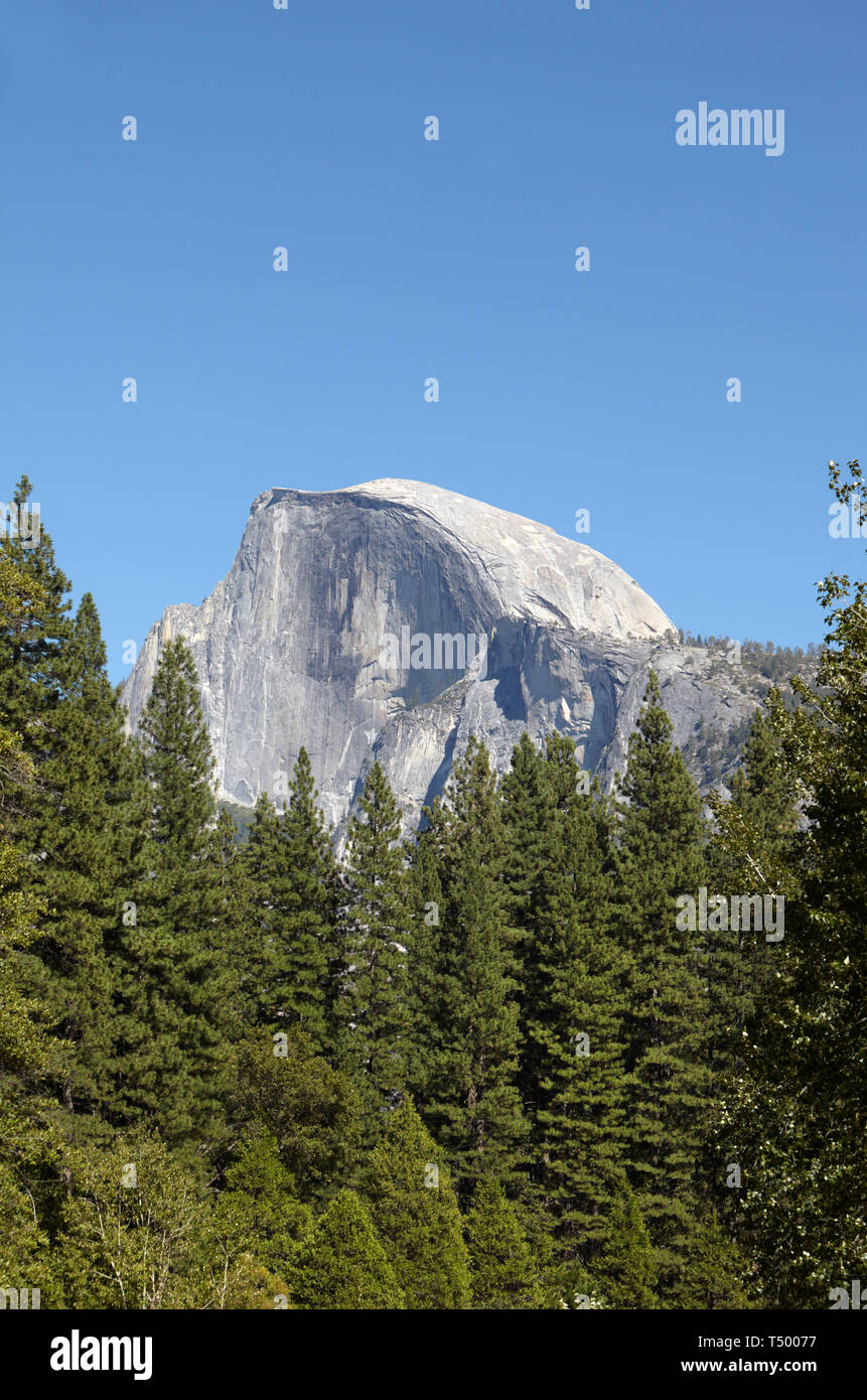 Half Dome, Yosemite National Park, California, America. Stock Photo