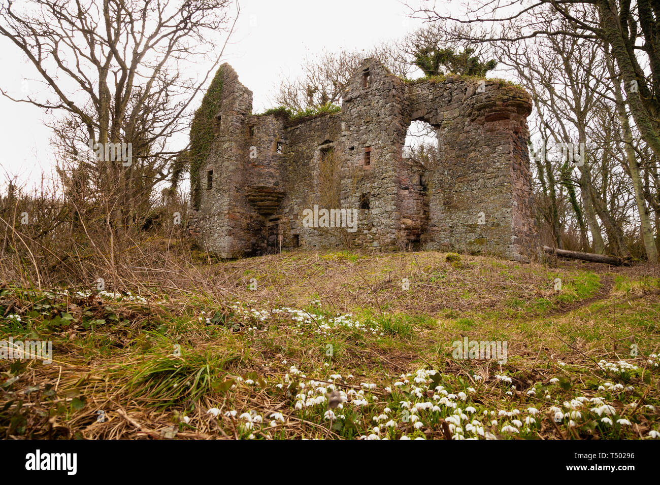 Auldhame castle hires stock photography and images Alamy