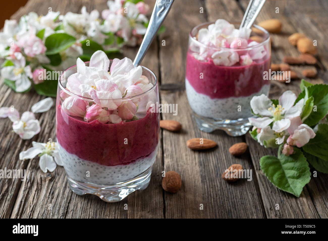 Layered chia pudding with almond milk, yogurt, blueberries and apple blossoms, top view Stock Photo