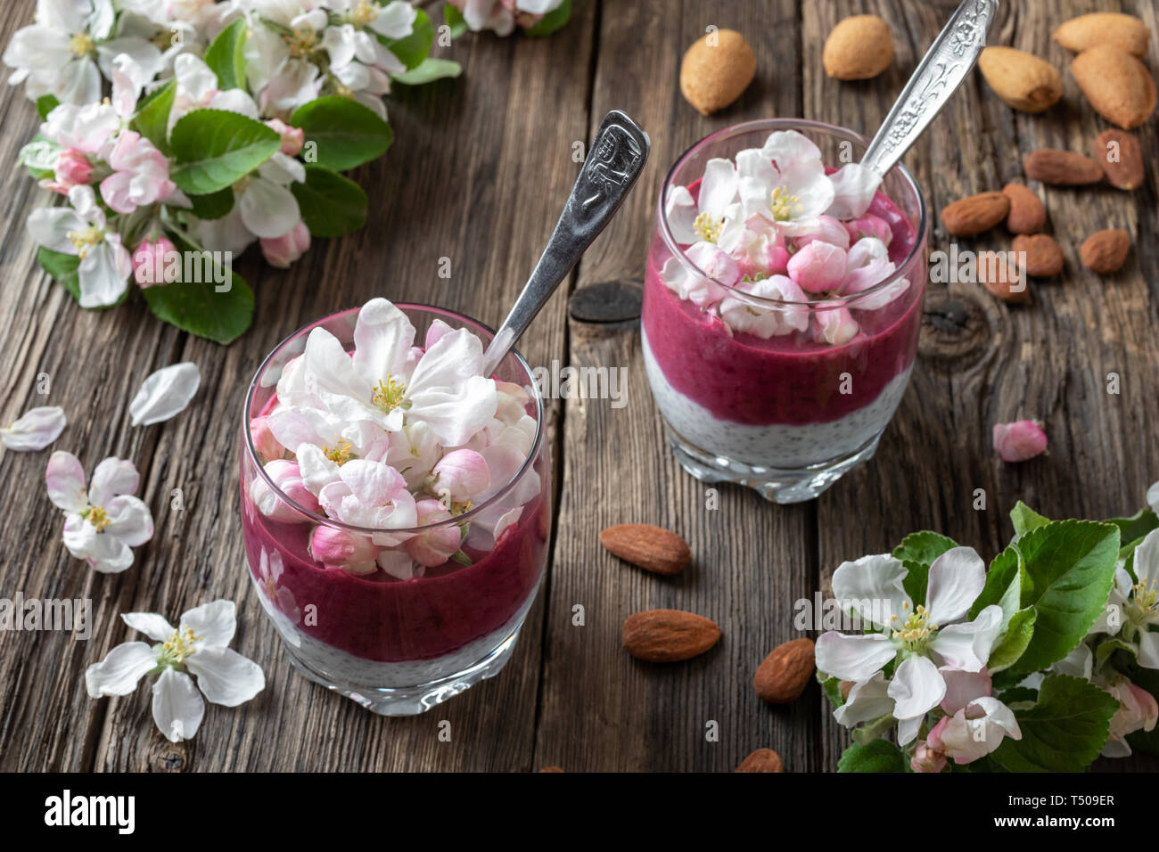 Layered chia pudding with almond milk, yogurt, blueberries and apple blossoms Stock Photo