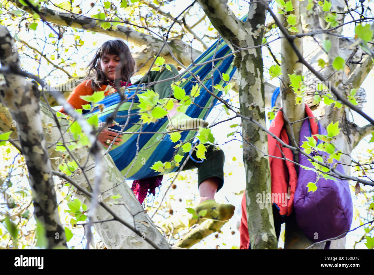 Parliament Square, London, UK. 19th Apr 2019. Activists climb up a tree ...